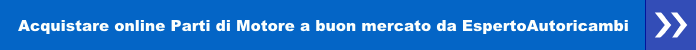 Acquistare online parti di motore a buon mercato da EspertoAutoricambi