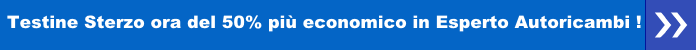 Testine Sterzo ora del 50% più economico in Esperto Autoricambi