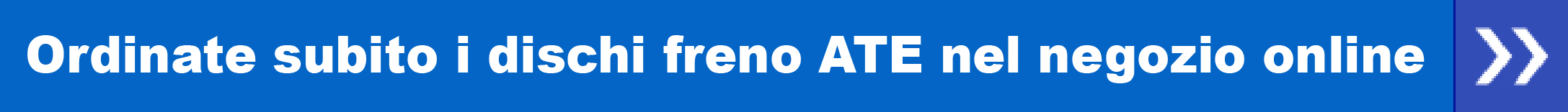 Ordinate subito i dischi freno ATE nel negozio online