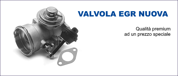 Compra Valvola EGR per auto ad un ottimo prezzo