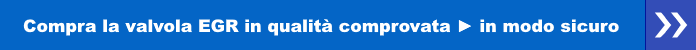 Compra la valvola EGR in qualità comprovata in modo sicuro